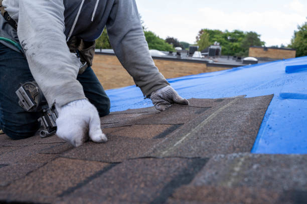 Best Roof Maintenance Services  in Montz, LA